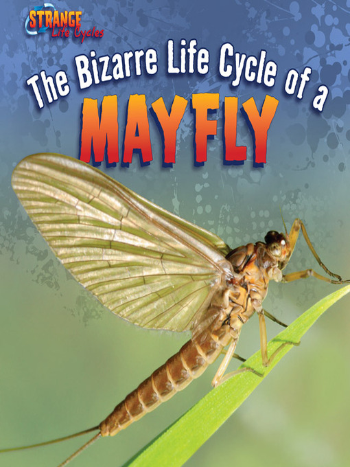 Title details for The Bizarre Life Cycle of a Mayfly by Greg Roza - Available